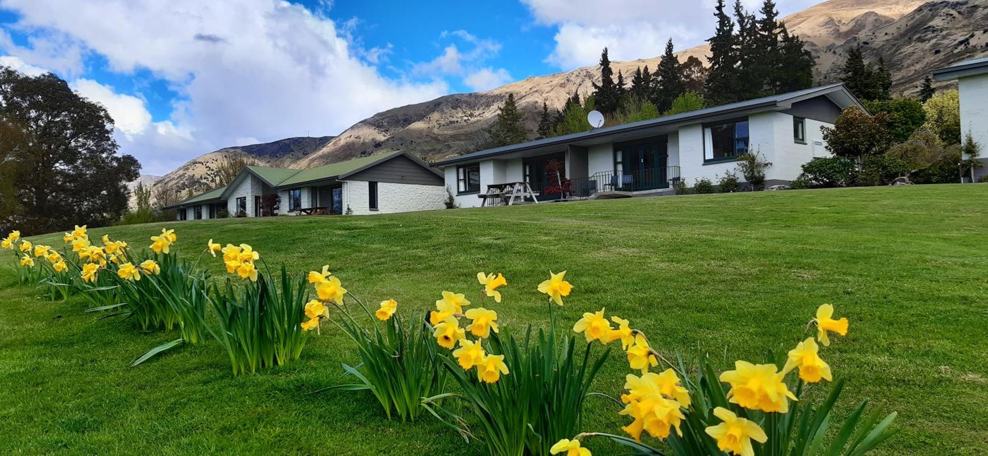 Wanaka Top 10 Holiday Park エクステリア 写真